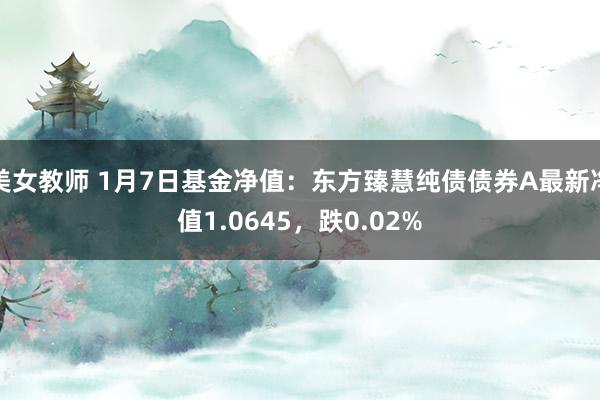 美女教师 1月7日基金净值：东方臻慧纯债债券A最新净值1.0645，跌0.02%