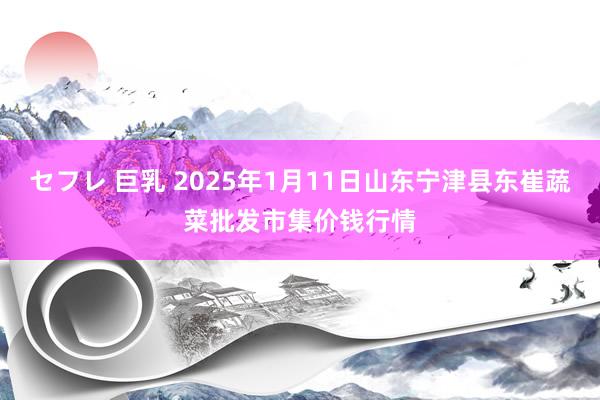 セフレ 巨乳 2025年1月11日山东宁津县东崔蔬菜批发市集价钱行情