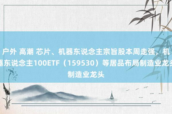 户外 高潮 芯片、机器东说念主宗旨股本周走强，机器东说念主100ETF（159530）等居品布局制造业龙头