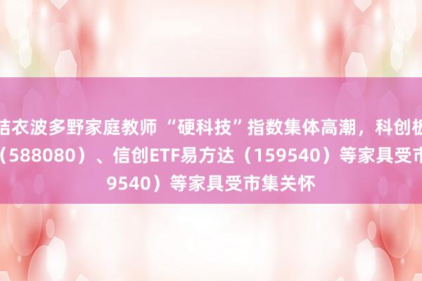 结衣波多野家庭教师 “硬科技”指数集体高潮，科创板50ETF（588080）、信创ETF易方达（159540）等家具受市集关怀