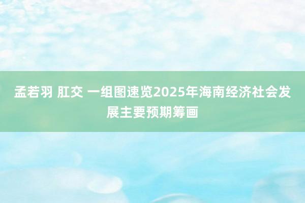 孟若羽 肛交 一组图速览2025年海南经济社会发展主要预期筹画