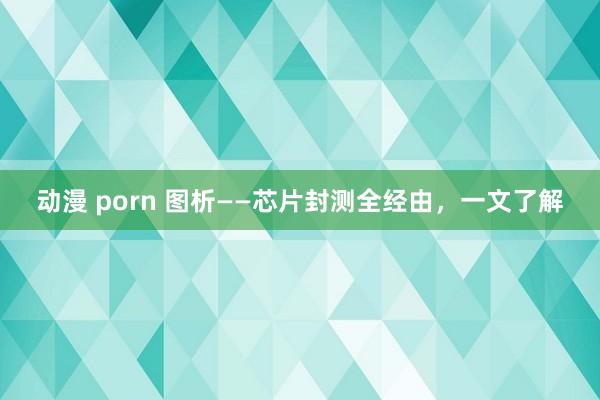 动漫 porn 图析——芯片封测全经由，一文了解